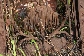 paramaribo NOT willow